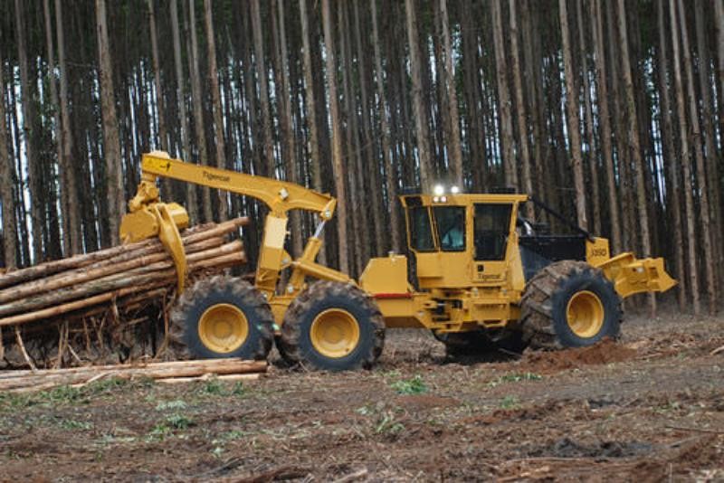 Manutenção Transmissão de Skidder
